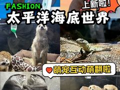 -太平洋海底世界