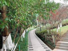 -龙头寺公园