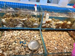 -港畔赶海蒸汽海鲜烧烤自助(仙螺岛店)