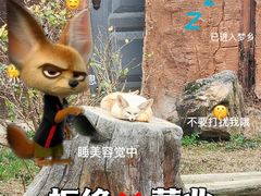 -杭州野生动物世界