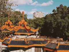 -金砂公园