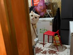 -老龙亭拉面店