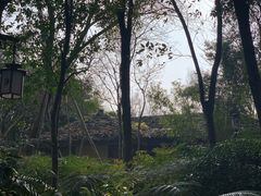 -青城道汤池