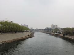 -桃花堤公园