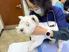 -美联众合动物医院·24h转诊中心