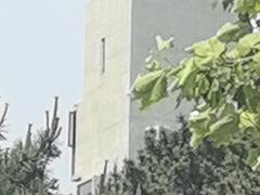-悬崖咖啡厅