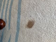 -青岛海泉湾皇冠假日度假酒店