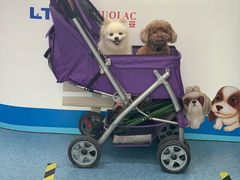 -北京赛佳动物医院