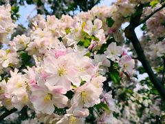 -朝阳公园