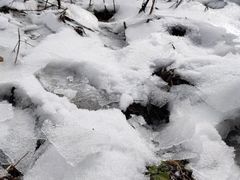 -武陵山森林公园
