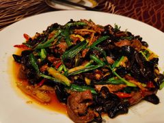 麻婆鲜椒爆肝腰-陈麻婆豆腐(春熙店)