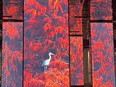 -中国湿地博物馆