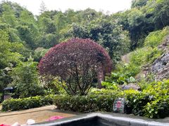 -汇雅温泉
