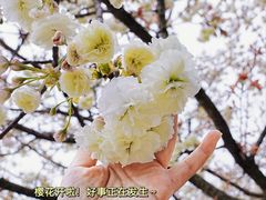 -团城山公园