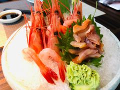 -山葵家·创意料理(EFC欧美广场店)