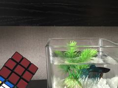 -南京新街口桔子水晶酒店