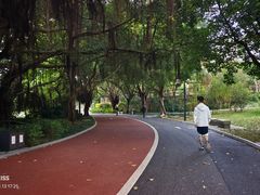-南宁南湖公园