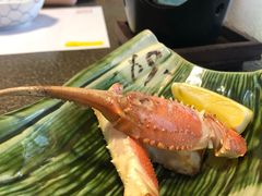 -蟹道乐(道顿堀本店)