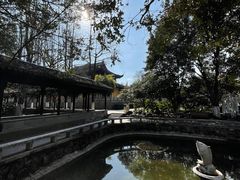 -红梅公园