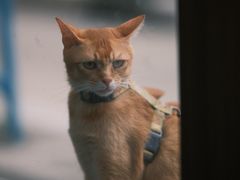 -Again Coffee Roaster(香蜜湖店)