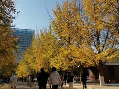 -辽宁大学(崇山校区)