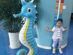 -芜湖新华联大白鲸海洋公园