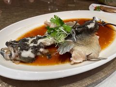 清蒸笋壳鱼-御宝轩(益丰·外滩源店)