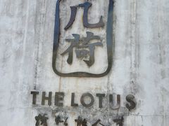 -几荷·恰似故人来(秀水广场店)