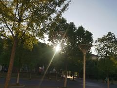 -华中农业大学-荟园餐厅