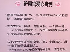 -猫咪博物馆(顶澳仔猫街店)