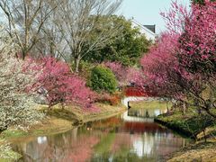 -花开海上生态园