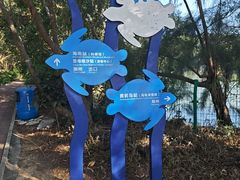 -广东惠东海龟国家级自然保护区