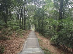 -广州市白云山风景名胜区