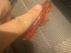 -索菲特酒店·海鲜自助 ·聚餐厅