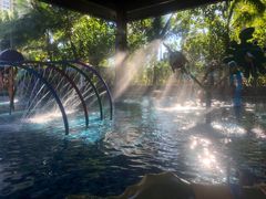 -亚马逊丛林水乐园