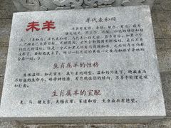 -海南文笔峰盘古文化旅游区
