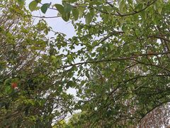 -绿色菜园·农家土菜(贤山店)