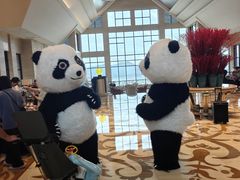 -杭州千岛湖滨江希尔顿度假酒店