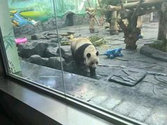 -秦皇岛野生动物园