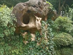 -绮园景区