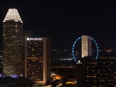 -新加坡瑞士史丹福酒店