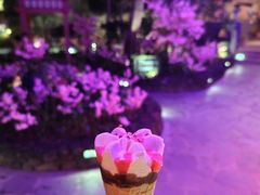 -海口观澜湖火山温泉谷