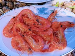 -凤霞海鲜大排档·天津菜(抗震路店)