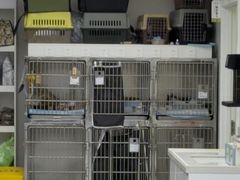 -达爱动物医院·犬猫分区·CT·复杂眼科(远洋山水分院)
