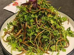 香椿苗拌豆腐丝-北平盛世·新京菜·北京烤鸭(劲松·双井店)