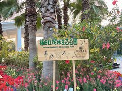 -福田红树林生态公园