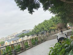 -黄埔古港