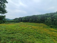 -洈水景区