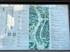 -乌镇景区