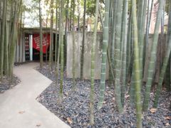 -穹六人间 people 6(岳阳路店)